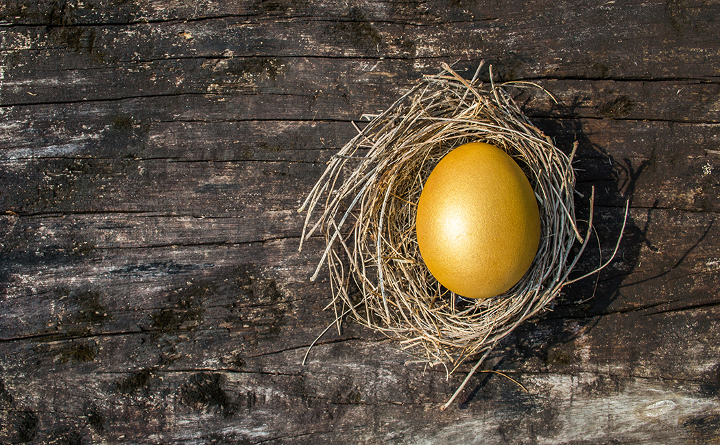 egg in nest on wood table, Insurance BPS | DXC Technology
